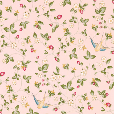 Wild Strawberry Blush W0135-01