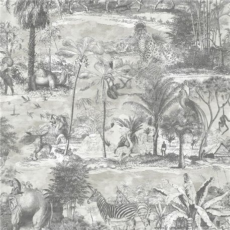 Animal Islands BMTD001-04C Animal Islands BMTD001-04C