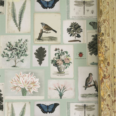 Flora and Fauna Cloud Blue...