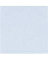 PCL004-07 BOUTIS - BLEUET