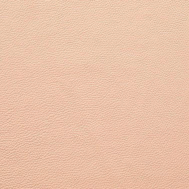 DALMATA043