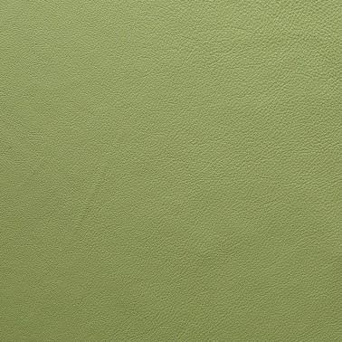 BABEL GREEN