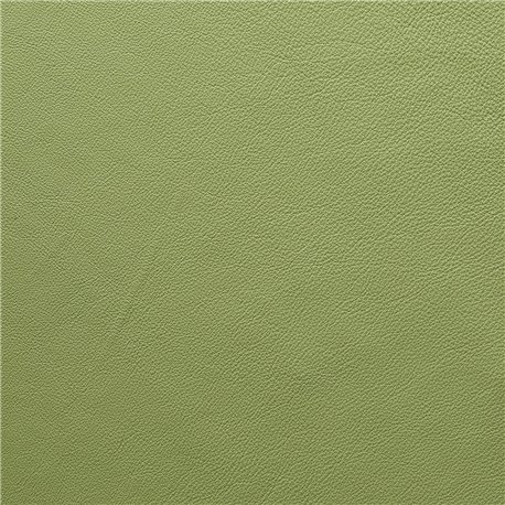 BABEL GREEN BABEL GREEN