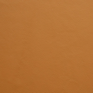 GAUDI NEW COGNAC