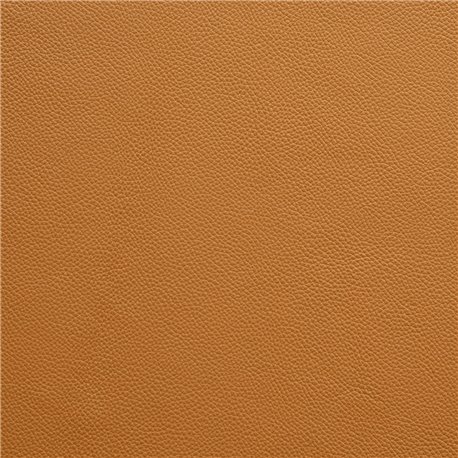 GAUDI NEW COGNAC