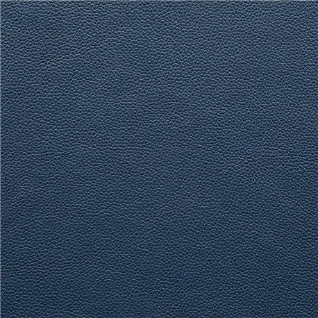 JOKER BLUE JOKER BLUE