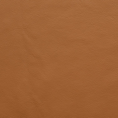 SAVANA CAMEL