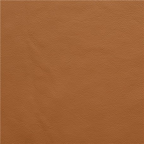 SAVANA CAMEL