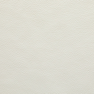 TAURO BLANCO