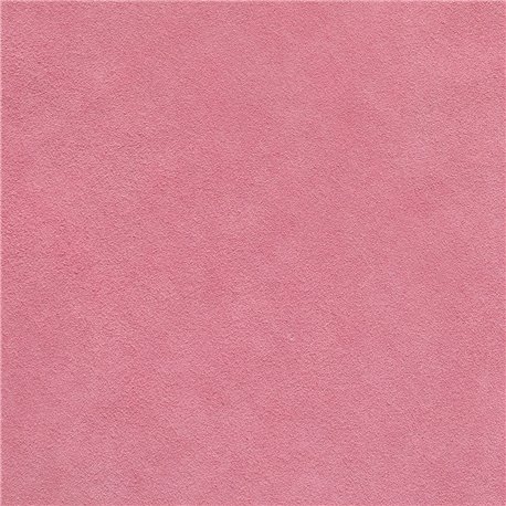 VERONA ROSE VERONA ROSE