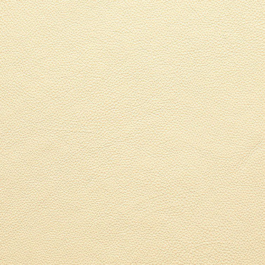 DALMATA003