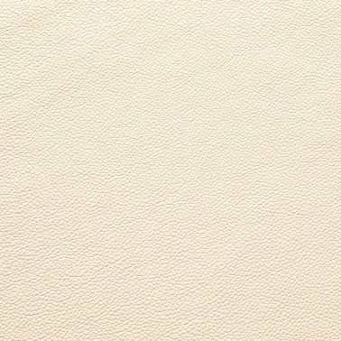 DALMATA004