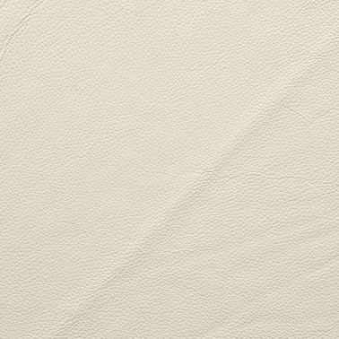 DALMATA011