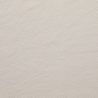 DALMATA012