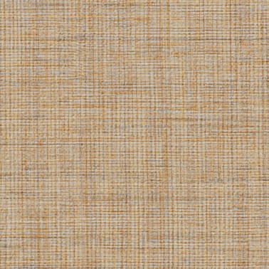 GRATEFUL DENIM AZ53560