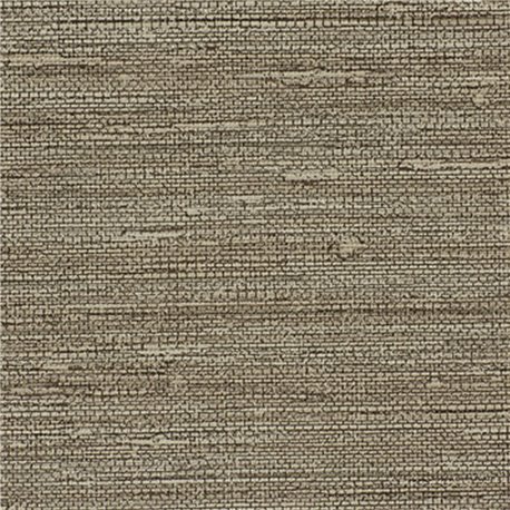 SISAL SONG AZ53461 SISAL SONG AZ53461