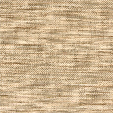 SISAL SONG AZ53466 SISAL SONG AZ53466