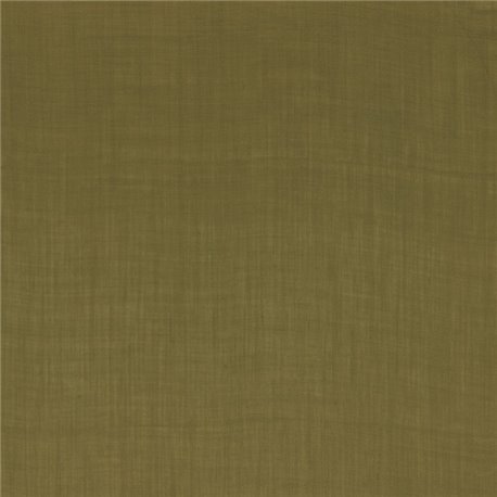 Lyrique Olive 49912323 Lyrique Olive 49912323