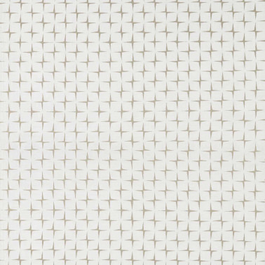 Issoria Pearl HMON132250