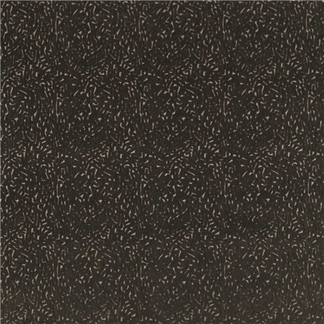 Lyrical Black Earth HQN2133879 Lyrical Black Earth HQN2133879