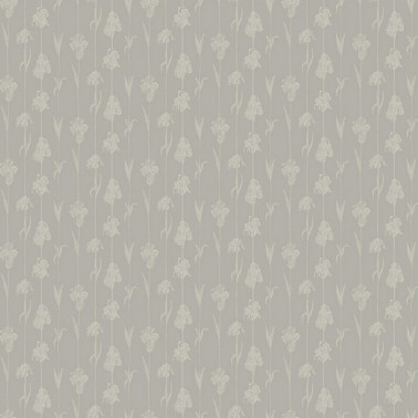 Corola IT4405-2