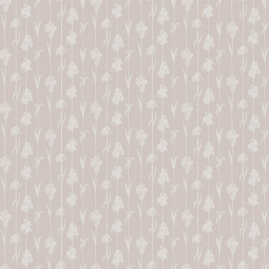 Corola IT4405-5
