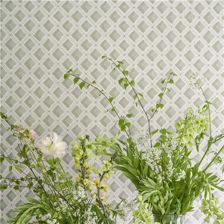 Amsee Geometric Lichen PEH0002-04