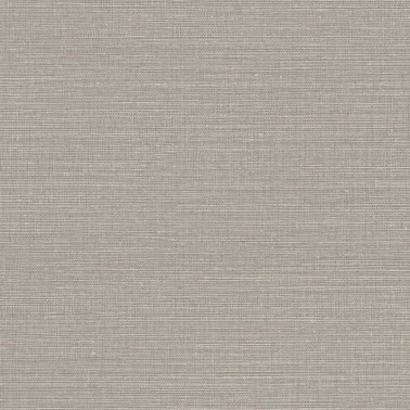 Canvas 313500.jpeg