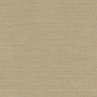 Canvas 313501.jpeg