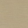 Canvas 313501.jpeg