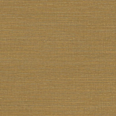 Canvas 313502.jpeg