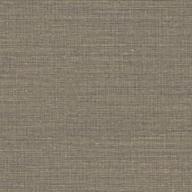 Canvas 313506.jpeg