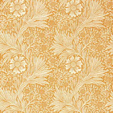 Marigold Orange MCOW217093