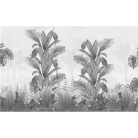 BOTANY GRAPHITE BOTANY GRAPHITE