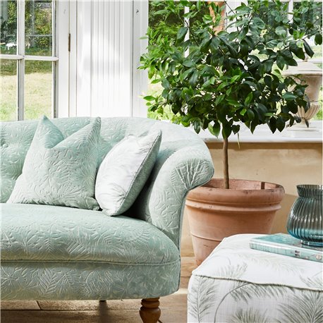 Dulcinea Laurel