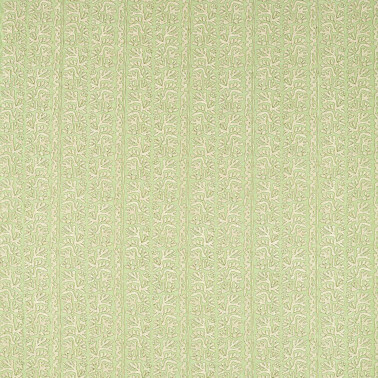 Khorol Sage Shitake HQN3133905