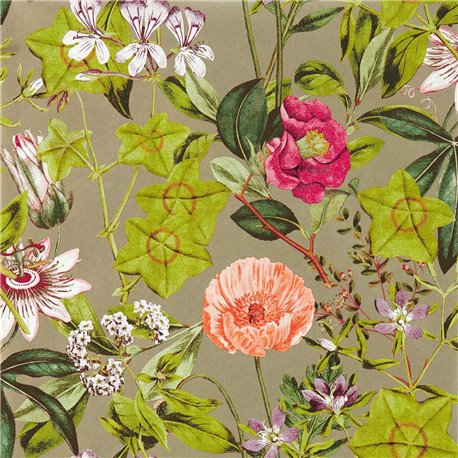 Passiflora Mulberry Gilver W0143-03 Passiflora Mulberry Gilver W0143-03