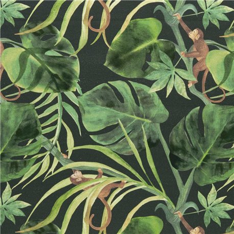 Monkey Bussiness Charcoal F0998-01 Monkey Bussiness Charcoal F0998-01