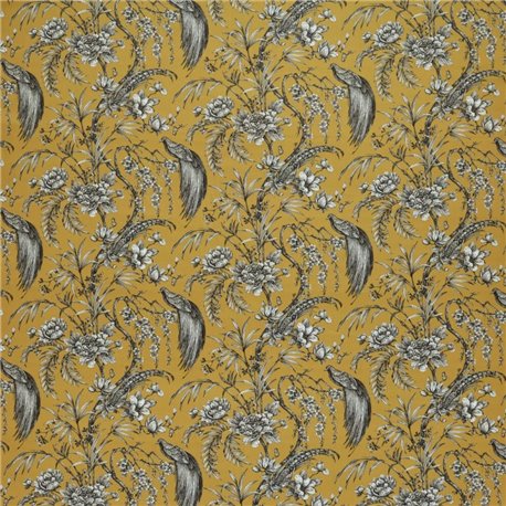 Botanist Citrus Botanist Citrus
