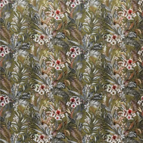 Kew Olive Kew Olive