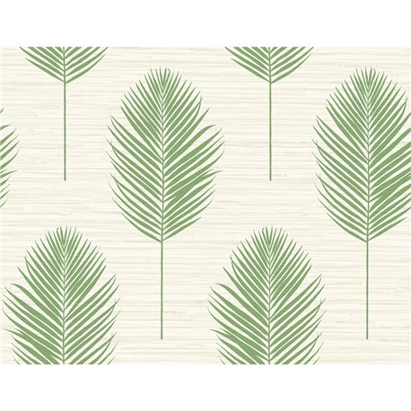 Bali Fern 2988-70204.jpeg Bali Fern 2988-70204.jpeg