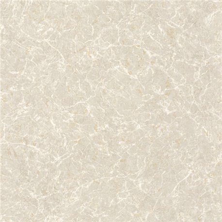 Marbre Beige Argile 88081221