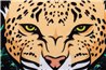 COJIN CLASSIC TIGRE VELVET REF-667762