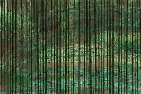 BAMBOO K021_16_01