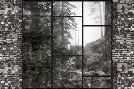 CASA NEL BOSCO K021_44_02