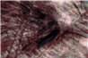 SHADOW K021_26_02