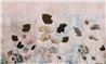 BLOW K022_32_01