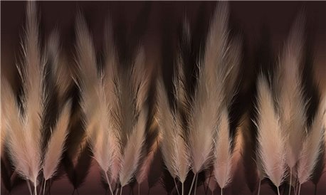 PAMPAS k022_38_01