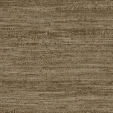 Tasar Bronze 72037A