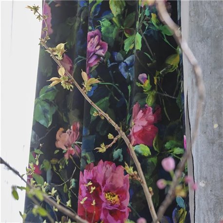 Gertrude Rose Fuchsia FDG3058-01